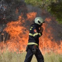 Požar u Dubravi kod Šibenika