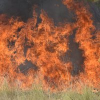 Požar u Dubravi kod Šibenika
