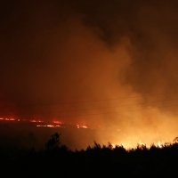 Požar u Dubravi kod Šibenika