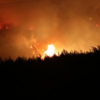 Požar u Dubravi kod Šibenika