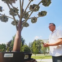 Mladen Smrekar ispred solarnog drveta