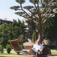 Mladen Smrekar ispred solarnog drveta