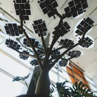 Model solarnog drveta