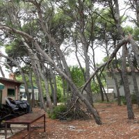 Olujno nevrijeme poharalo Jadriju