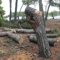 Olujno nevrijeme poharalo Jadriju