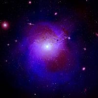 Perseus Cluster A New Twist in the Dark Matter Tale