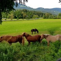 Mislinjska dolina 02