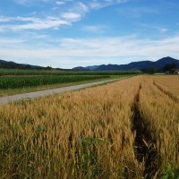 Mislinjska dolina 04