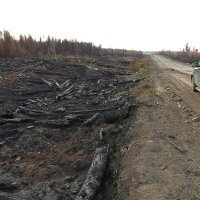 Šumski požar u Rusiji