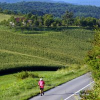 Branko Šubić ultramaraton Knin-Petrinja