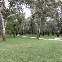 Samsung Galaxy A80 primjeri fotografija