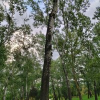 Samsung Galaxy A80 primjeri fotografija