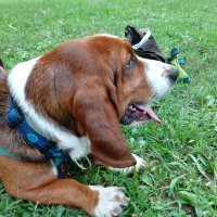 Samsung Galaxy A80 primjeri fotografija