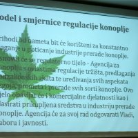 Mirela Holy i Davor Bernardić o potencijalima konoplje