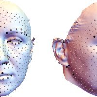 Analiza površine lica