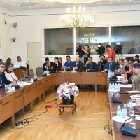 Predstavljanje Šuice na saborskom odboru
