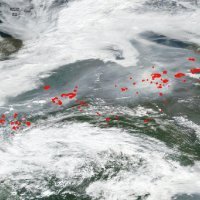 Veliki šumski požar u Sibiru