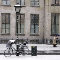 Biciklisti u Nizozemskoj