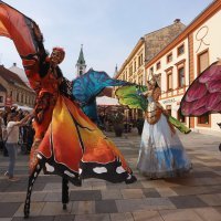 Nastupima performera započelo ovogodišnje izdanje Špancirfesta