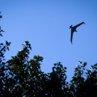 Bespilotni zrakoplov 'Orbiter 3'