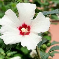 Samsung Galaxy Note10 primjeri fotografija