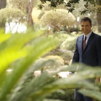 Pedro Sanchez