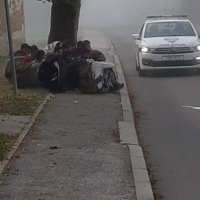 Migranti u Pokupskom