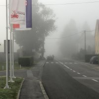 Migranti u Pokupskom