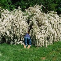 Charlotte Fuentes, Ljubav je negdje drugdje