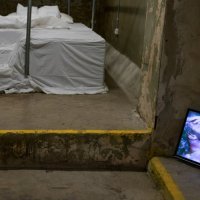 Shir Handelsman, Svaki dio mog tijela je čudo