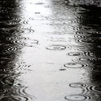 Prazan park Maksimir tijekom današnje kiše