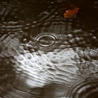 Prazan park Maksimir tijekom današnje kiše