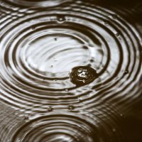 Prazan park Maksimir tijekom današnje kiše