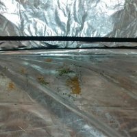 Ilegalni laboratorij za proizvodnju marihuane