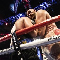 Tyson Fury i Otto Wallin