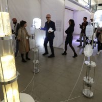 Ekstravagantna tijela: Ekstravagantna ljubav