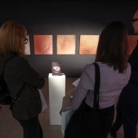 Ekstravagantna tijela: Ekstravagantna ljubav