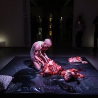 Performans slovenske umjetnice Betine Habjanič u sklopu festivala 'Ekstravagantna tijela'