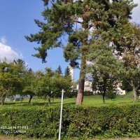 Xiaomi Mi 9T Pro - primjeri fotografija
