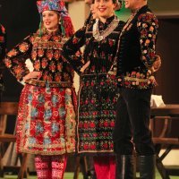 54. Vinkovačke jeseni