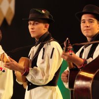 54. Vinkovačke jeseni