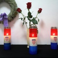 Nacionalni dan borbe protiv nasilja nad ženama