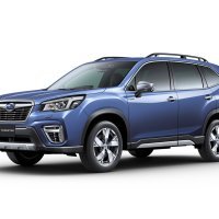 Forester Advance