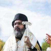 Nikodin Kosović dalmatinski episkop