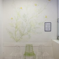 Vida Meić, Herbarij, Klinički bolnički centar Zagreb, Klinika za ženske bolesti i porode, Petrova