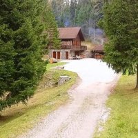 Medvedov panj, Ravna Gora