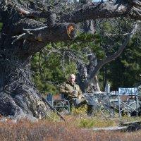 Vladimir Putin u divljini