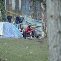 Migranti