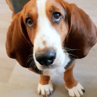 Samsung Galaxy Note10+ primjeri fotografija