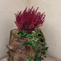 Samsung Galaxy Note10+ primjeri fotografija